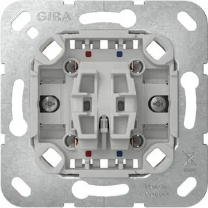 Switch rocker module Gira 310200, 2-pole insert, for flush mounting