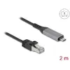 DELOCK USB Type-C to RJ45 Gigabit Ethernet Cable 2 m Photo 2