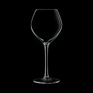 Vīna glāžu komplekts Cristal d'Arques WINE EMOTIONS 35 cl, 4 gab.