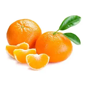 Mandarins (Spain) — fresh Spanish mandarins for consumption