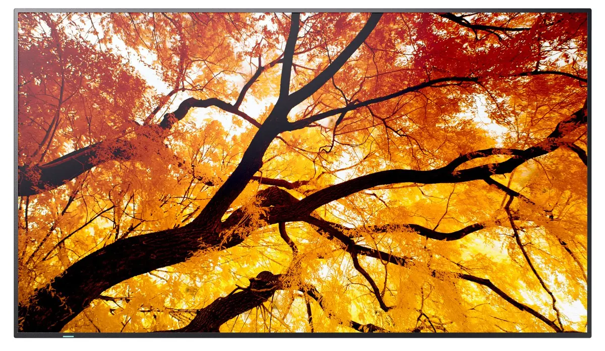 SHARP NEC MultiSync M502 — 50" 4K reklāmas panelis Photo 14