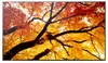 SHARP NEC MultiSync M502 — 50" 4K reklāmas panelis Photo 14