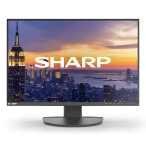 24" Sharp MultiSync EA242W LCD monitor IPS 1920 x 1200 16:10 5 ms USB 3.2 hub VESA height-adjustable Black