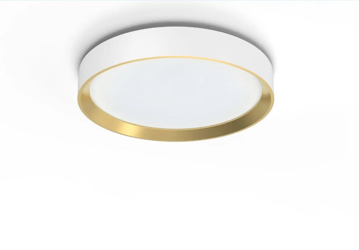 Griestu gaismeklis Philips HANNO CEILING SS