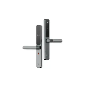 EZVIZ Smart door handle CS-DL06 (WBCP)