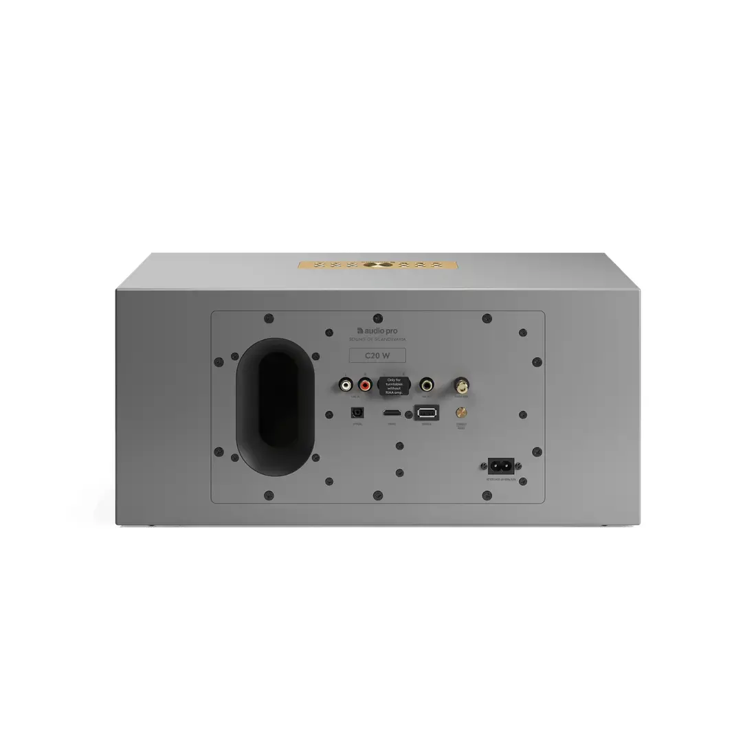Audio Pro C20 W Grey беспроводная колонка Photo 5