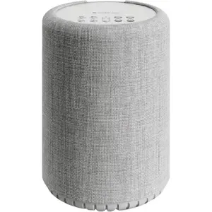 Wireless active speaker Audio Pro A10 MKII — 1 driver, Grey, for home use