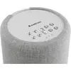 Audio Pro A10 MKII беспроводная колонка Photo 3