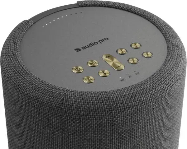 Audio Pro A10 MKII W — bezvadu skaļrunis Photo 2