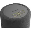 Audio Pro A10 MKII W — bezvadu skaļrunis Photo 2
