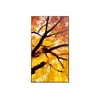 Sharp MultiSync M432 panelis 42,5" 4K Photo 3