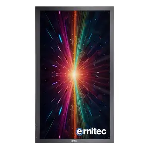 Дисплей для цифровой навигации ERNITEC 0070-24143-HB3000-INDOOR-P для использования в помещениях