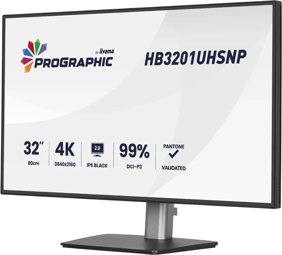 Монитор iiyama ProGraphic HB3201UHSNP-B1 31.5" 4K Photo 4