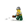 LEGO City modulārais transportlīdzeklis 60490 Lumiaura Photo 5