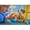 LEGO Creator 31382 3in1 Cute Animals komplekts Photo 7