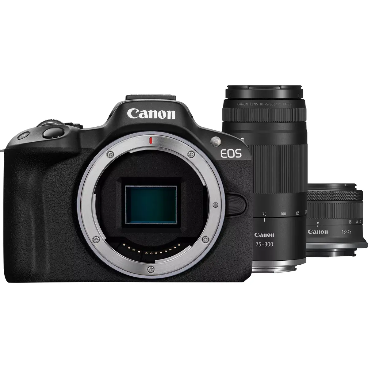 Canon EOS R50 MILC Kamera 24