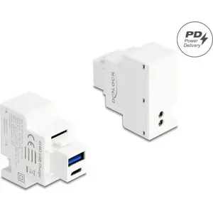 DELOCK Кейтстоун модуль с USB Type-A и USB Type-C зарядным разъёмом PD 20 Вт белый