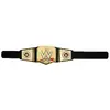 MATTEL WWE Championship Title belt — Undisputed Universal Photo 4
