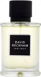 Eau de Parfum spray, david beckham Instinct EDP 50 ml — men's fragrance