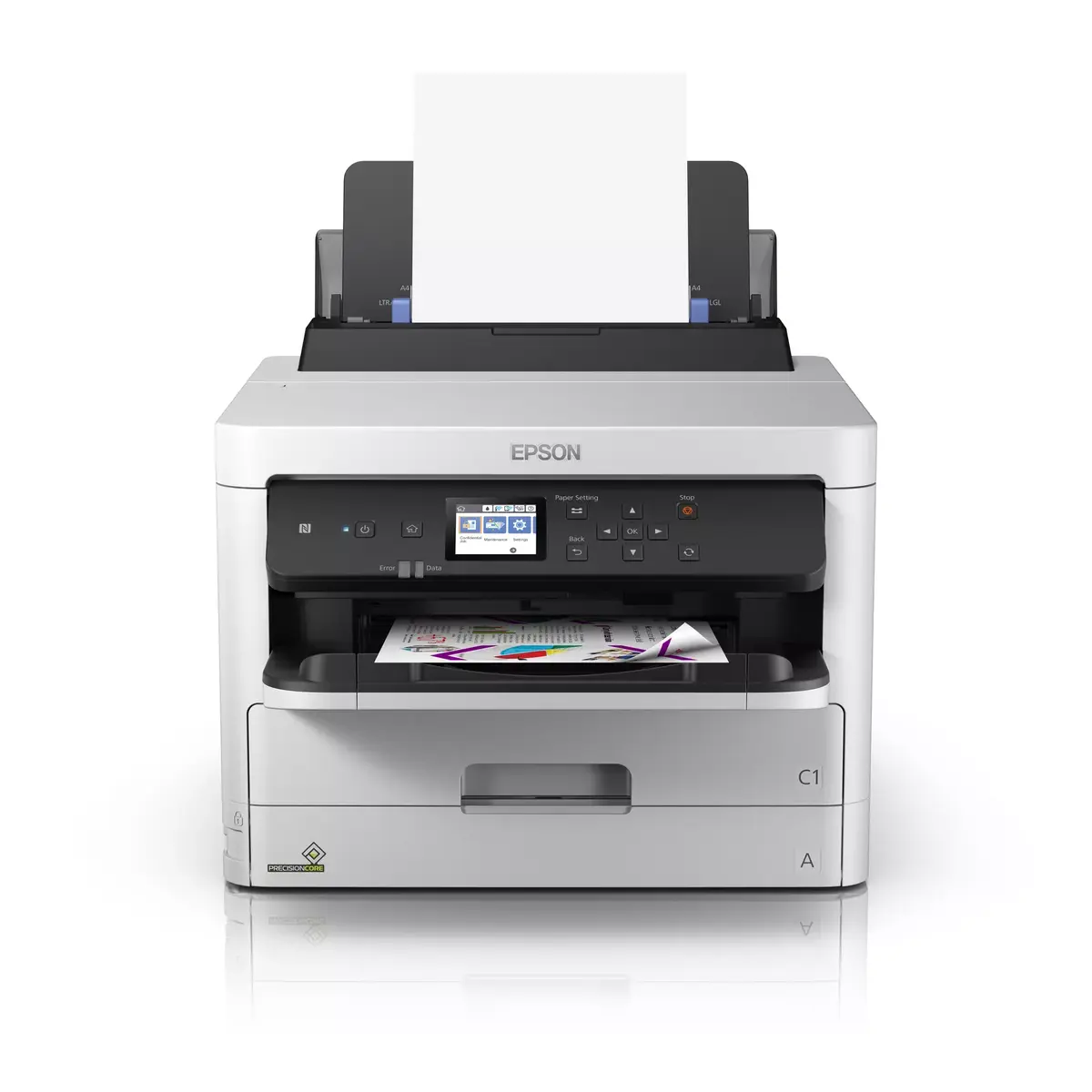 Kārtridžs Epson C13T01C100 Melns Photo 2