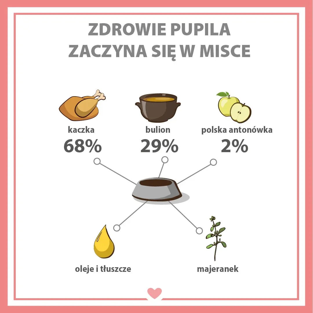 Mitrs suņu barības PUPIL PREMIUM Gold