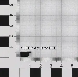 Aizsargvāciņš Nintendo Switch — ACT/SLEEP (K1) BEE no NINTENDO — vāciņš miega režīmam