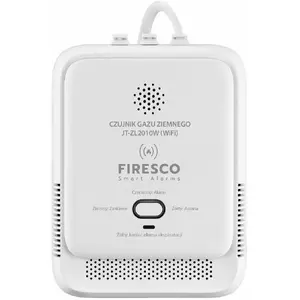 Датчик утечки природного газа INNE JT-ZL2010W Wi‑Fi Tuya