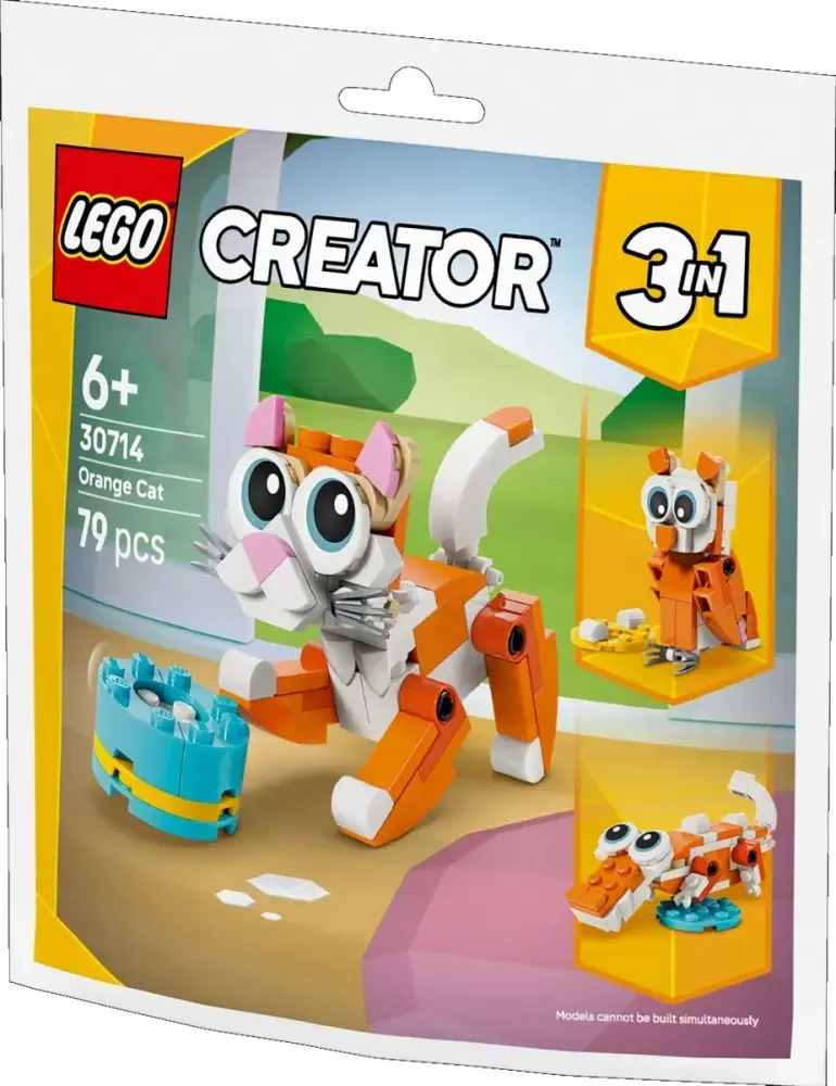 LEGO Creator 30714 Orange Cat model Photo 2