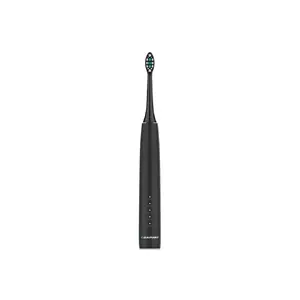 Electric toothbrush BLAUPUNKT DTS201BK — rechargeable sonic, black, 2-min timer, built-in 5V battery