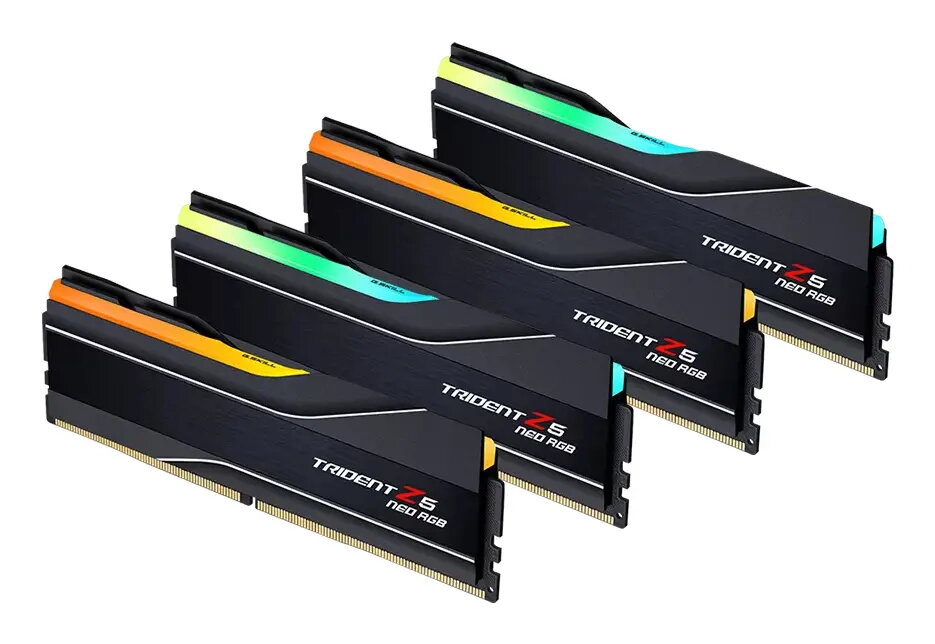 Darbalauka DDR5 256 GB (4x64 GB)
