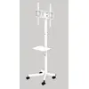 Gembird grīdas statīvs 32"–55" (VESA 100–400, 30 kg) Photo 2