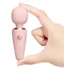 le wand Mini Microwand Rose Go handheld massager Photo 5