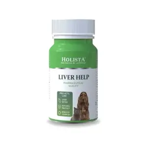 Dietary supplement tablets HOLISTA Liver Help 24.3 g 90 tablets