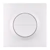 Sonoff MINI-ZB2GSL-E ZigBee двухканальный настенный выключатель Photo 2