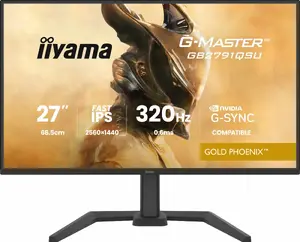 Gaming monitor IIYAMA GB2791QSU-B1 27" (68.6 cm) QHD with HDMI, DisplayPort and USB, black