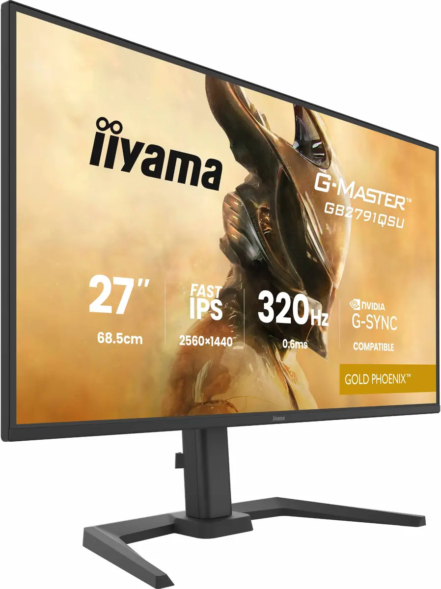 Игровой монитор iiyama G-MASTER GB2791QSU-B1 27" QHD Photo 2