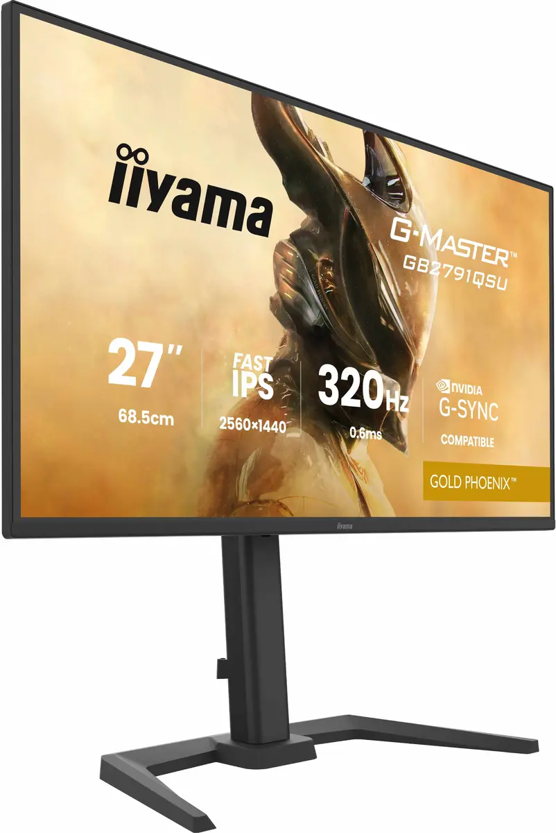 Игровой монитор iiyama G-MASTER GB2791QSU-B1 27" QHD Photo 3