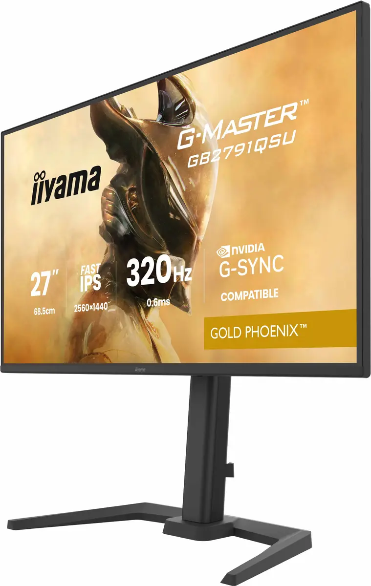 Игровой монитор iiyama G-MASTER GB2791QSU-B1 27" QHD Photo 9