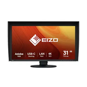 Монитор EIZO ColorEdge CG3100X 30,5" (77,5 см) 4096×2160 4K DCI IPS LCD, 17:9, USB 3.2 хаб, VESA, регулировка по высоте, черный