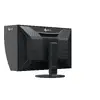 EIZO ColorEdge CG3100X 30,5" 4K DCI монитор Photo 4