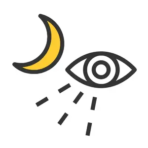 OptimizedIR