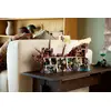 LEGO Icons The Goonies 21363 set Photo 16