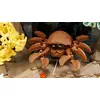 LEGO Icons 10366 Tropical Aquarium set Photo 8