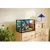 LEGO Icons 10366 Tropical Aquarium set Photo 10