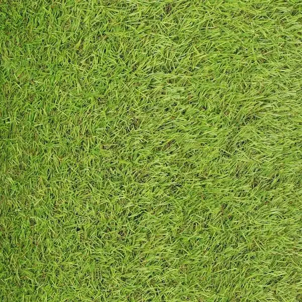 Artificial grass Springos GA0046 2 m, 20 mm Photo 5