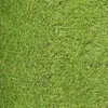 Artificial grass Springos GA0046 2 m, 20 mm Photo 5
