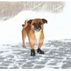 Aizsargzābaki Trixie Walker Active Photo 18