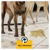Моющий пылесос Bissell PowerWash HydroSteam Photo 3