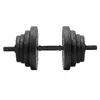 Dumbbell set Springos ACT0042 2 x 15 kg Photo 6