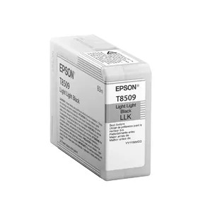 Картридж Epson T850900 Светло-черный